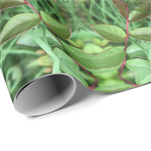 Gartenkräuter Geschenkpapier (Rolleneckpunkt)