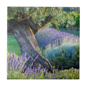 Gartenlandschaft mit Blumen, Frankreich Fliese