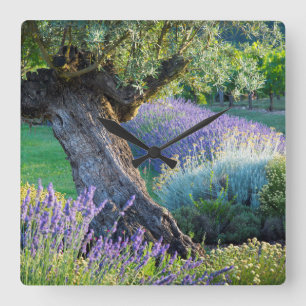 Gartenlandschaft mit Blumen, Frankreich Quadratische Wanduhr