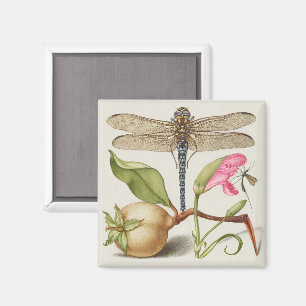 Gartenleben, Libelle, Birne, Nelke und Insekt Magnet