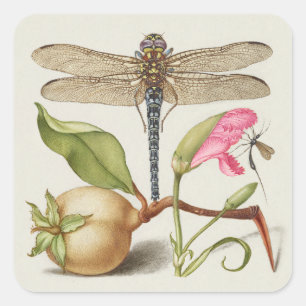 Gartenleben, Libelle, Birne, Nelke und Insekt Quadratischer Aufkleber