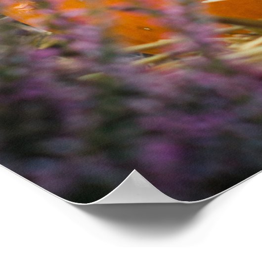 Gartenleben mit einem Orangenkürbis Poster (Ecke)