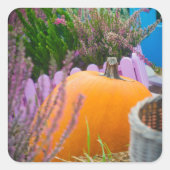 Gartenleben mit einem Orangenkürbis Quadratischer Aufkleber (Vorderseite)