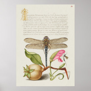 Gartenleben, Schmetterling, Birne, Nelke und Insek Poster