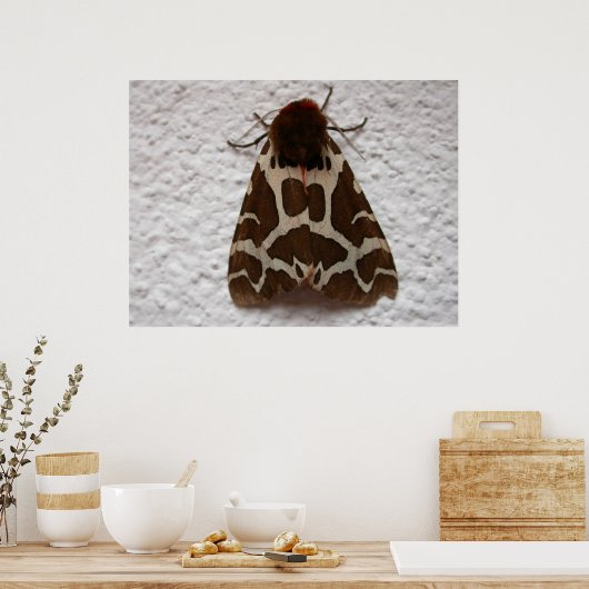 Gartenmotte Poster (Küche)