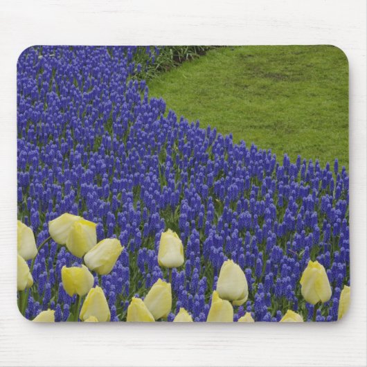 Gartenmuster aus Traubenhyazinthenblüten und 2 Mousepad (Vorne)