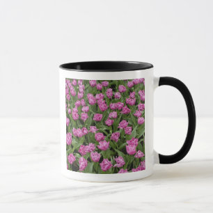 Gartenmuster aus Tulpen, Keukenhof-Gärten, Tasse