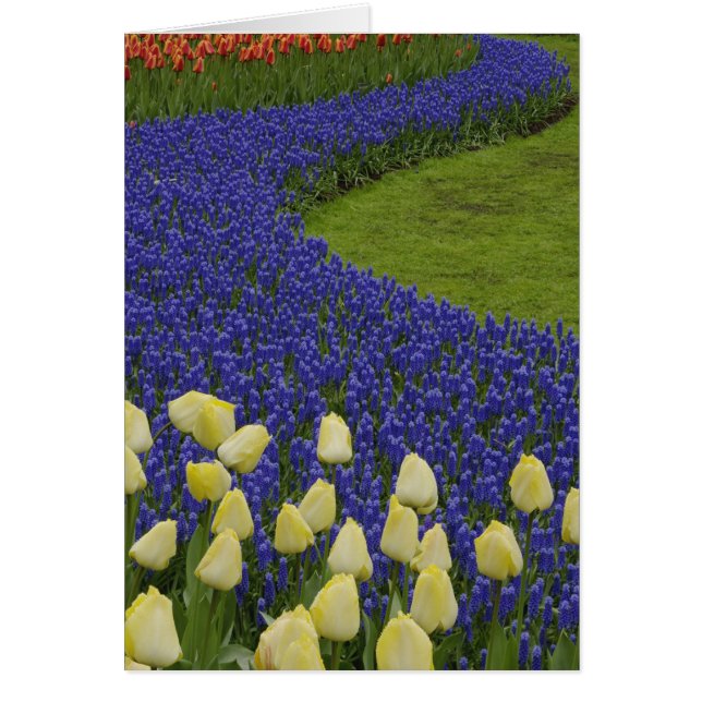 Gartenmuster der Blume und 2 (Vorne)