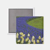 Gartenmuster der Blume und 2 Magnet (Vorderseite/Rückseite)