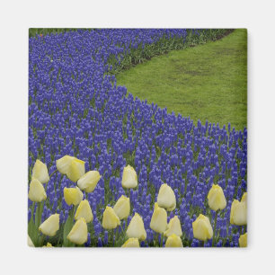 Gartenmuster der Blume und 2 Magnet