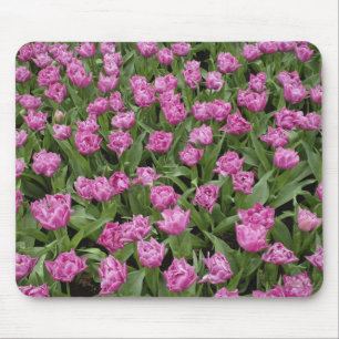 Gartenmuster der Tulpen, Keukenhof Gardens, Mousepad
