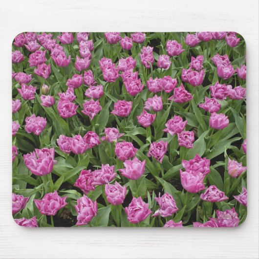 Gartenmuster der Tulpen, Keukenhof Gardens, Mousepad (Vorne)