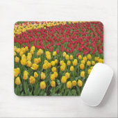 Gartenmuster Tulpen, Keukenhof Gardens, 2 Mousepad (Mit Mouse)