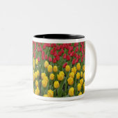 Gartenmuster Tulpen, Keukenhof Gardens, 2 Zweifarbige Tasse (VorderseiteRechts)
