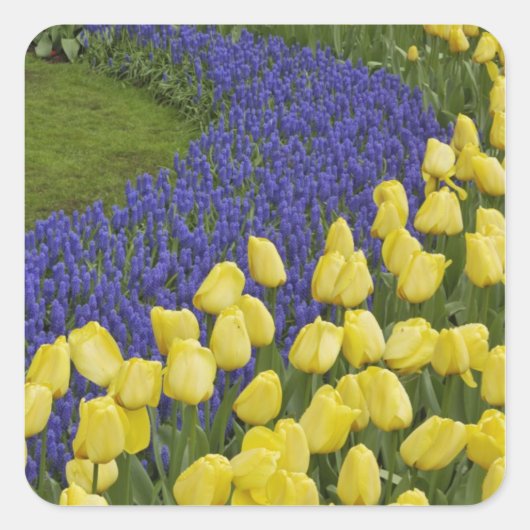 Gartenmuster von Blume und Quadratischer Aufkleber (Vorderseite)