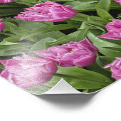 Gartenmuster von Tulpen, Keukenhof Gardens, Fotodruck (Ecke)
