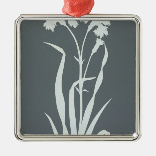 Gartennelke Silbernes Ornament (Vorne)