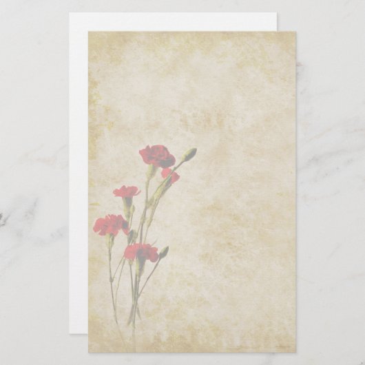 Gartennelken-Anmerkungs-Papier Briefpapier (Vorne/Hinten)