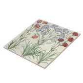 Gartennelken: Multiplexflore 1.Caryophyllus albo; Fliese (Seite)