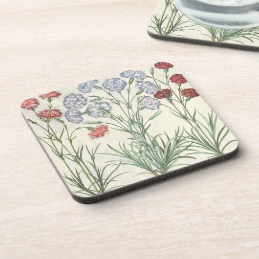 Gartennelken: Multiplexflore 1.Caryophyllus albo; Getränkeuntersetzer (Linke Seite)