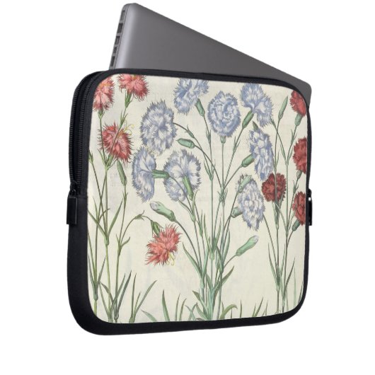 Gartennelken: Multiplexflore 1.Caryophyllus albo; Laptopschutzhülle (Vorne Rechts)