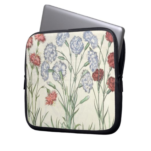 Gartennelken: Multiplexflore 1.Caryophyllus albo; Laptopschutzhülle (Vorderseite Links)