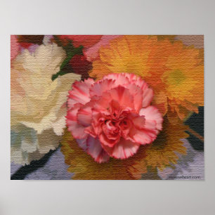 Gartennelken-Plakat Poster