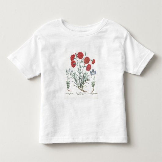 Gartennelken und Lavendel: 1.Caryophyllus maximus Kleinkind T-shirt (Vorderseite)