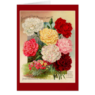 Gartennelken-Vintage Samen-Paket-Kunst auf Karten