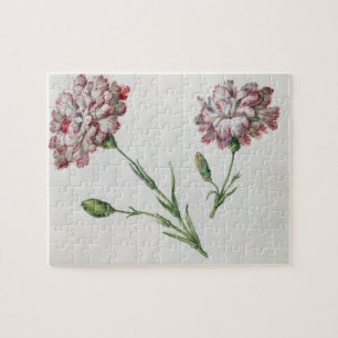 Gartennelken (w/c auf Papier) Puzzle