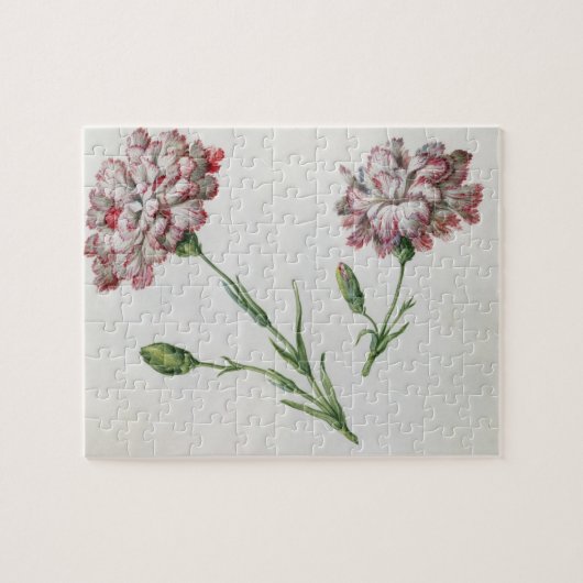 Gartennelken (w/c auf Papier) Puzzle (Horizontal)