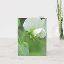 Gartennotecard für jeden Anlass Karte