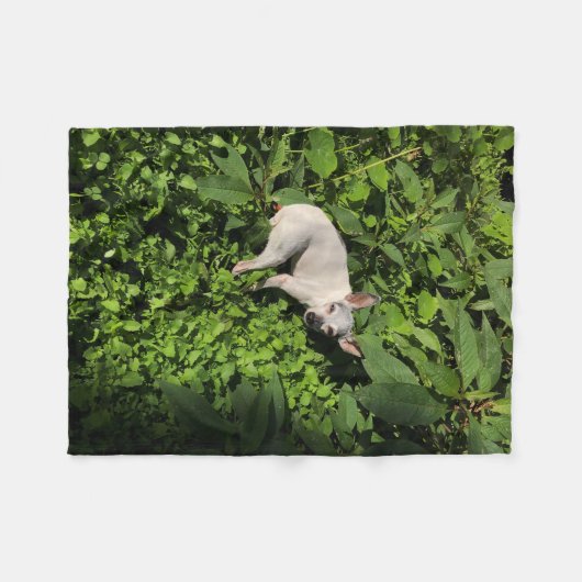 Gartennymphperle Fleecedecke (Vorderseite (Horizontal))