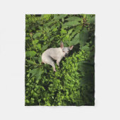 Gartennymphperle Fleecedecke (Vorderseite)