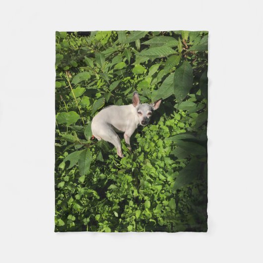 Gartennymphperle Fleecedecke (Vorderseite)