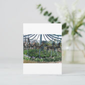 Gartenpferd Postkarte (Stehend Vorderseite)