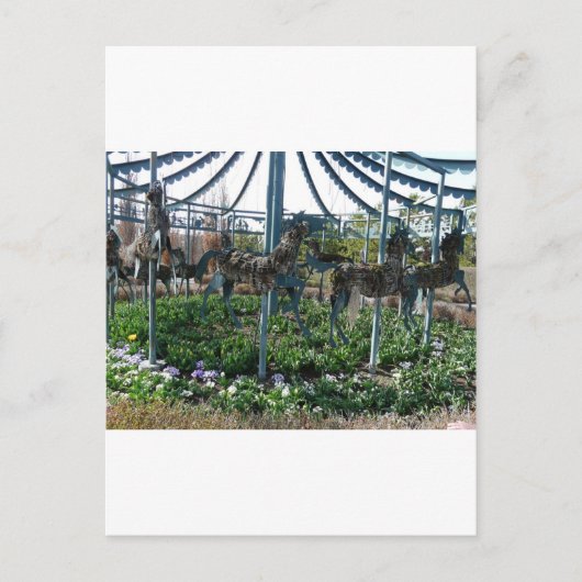 Gartenpferd Postkarte (Vorderseite)