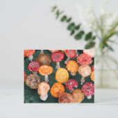 Gartenpilze und -hocker postkarte (Stehend Vorderseite)