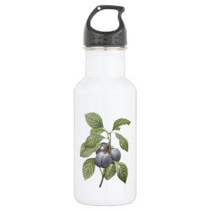Gartenplum (Prunus domestica) von Redouté Trinkflasche