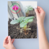 Gartens Werke Flyer (Hand)