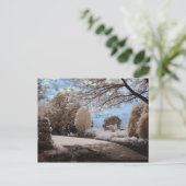 Gartenschatten Postkarte (Stehend Vorderseite)