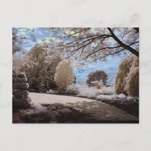 Gartenschatten Postkarte (Vorderseite)