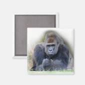 Gartenschloss auf Gras Magnet (Vorderseite/Rückseite)