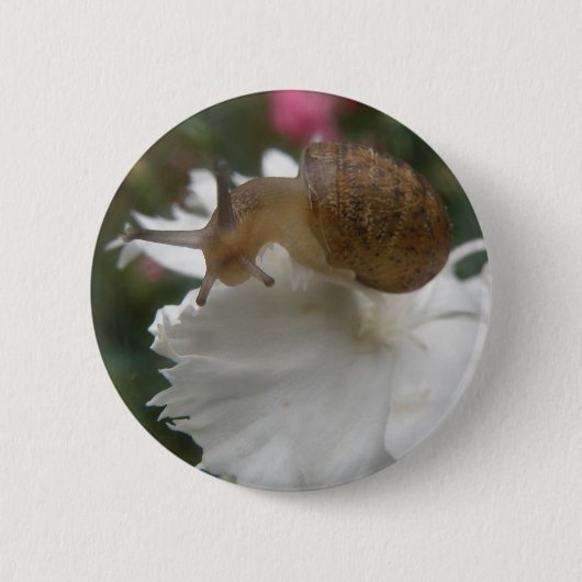 Gartenschnecke mit weißer Nelke Button (Vorderseite)