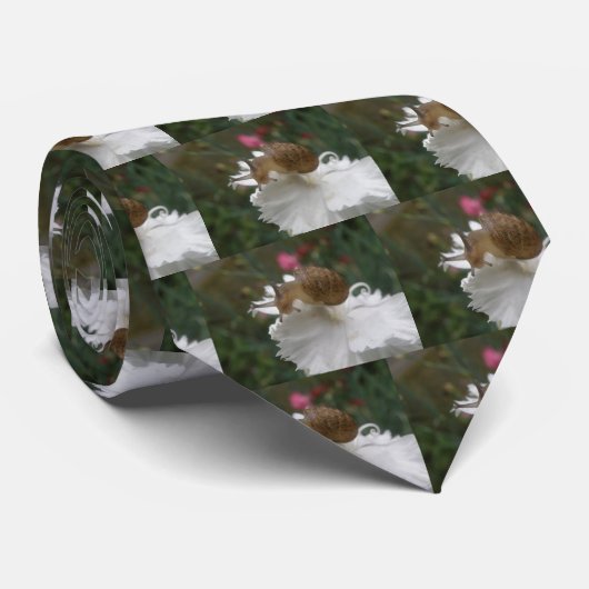 Gartenschnecke und Krawatte (Gerollt)