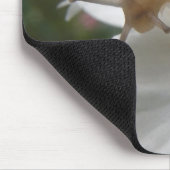 Gartenschnecke und Mousepad (Ecke)