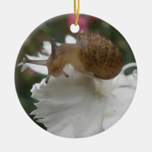 GartenSchnecke und weiße Nelke Maßgeschneidert Geb Keramik Ornament (Vorne)