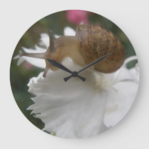 Gartenschnecke und weiße Nelkenmauer Große Wanduhr