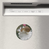 Gartenschnecke und Weißkarnation Magnet (In Situ (Geschirrspüler))