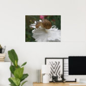 Gartenschnecke und Weißkarnation Poster (Heimbüro)